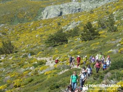 Ruta senderismo Peñalara - La Granja de San Ildefonso; botas senderismo verano